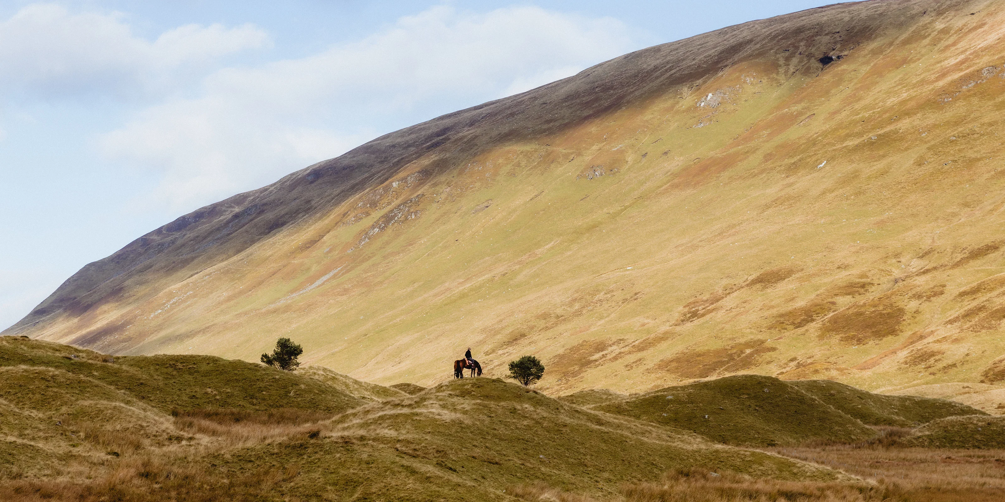 Welcome to Our Store